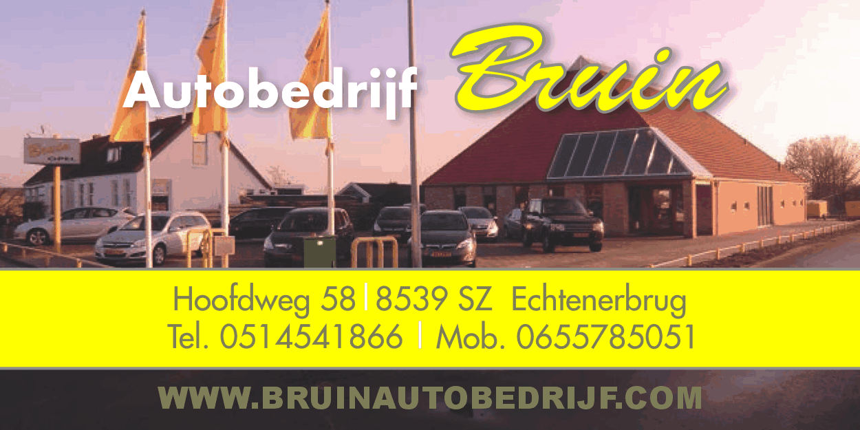 Bruin